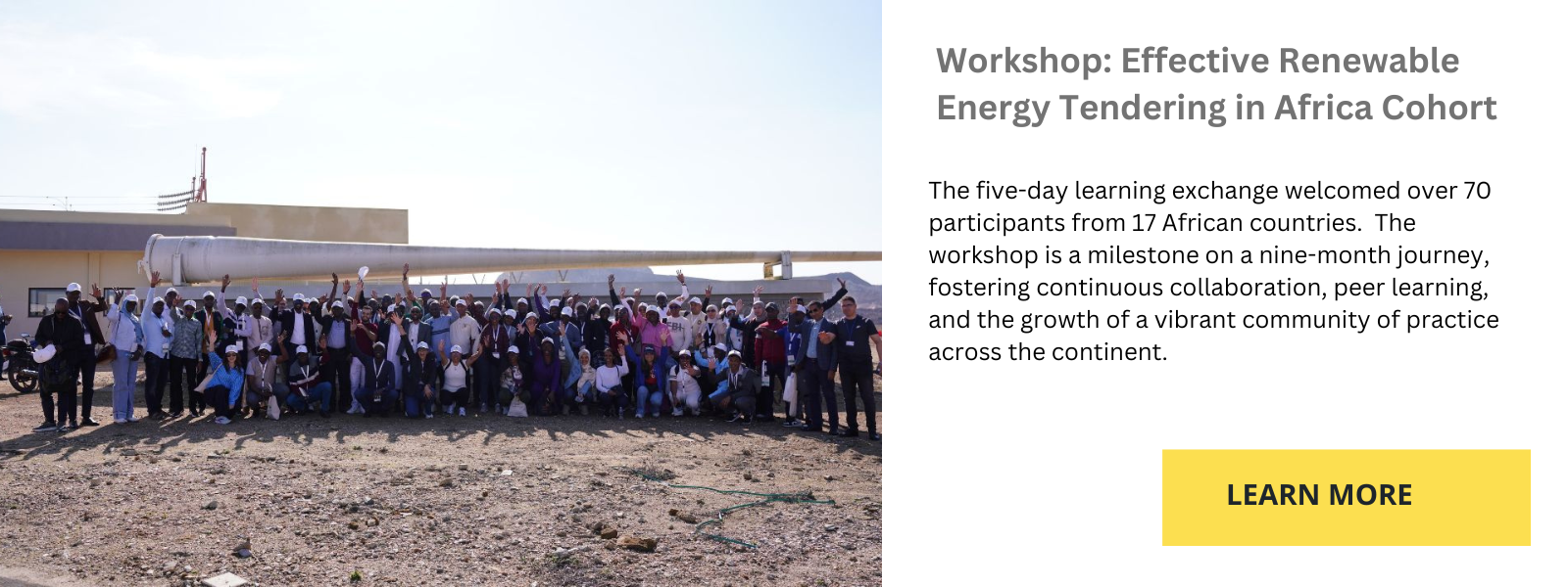 Image of participants of the Effective Renewable Energy Tendering