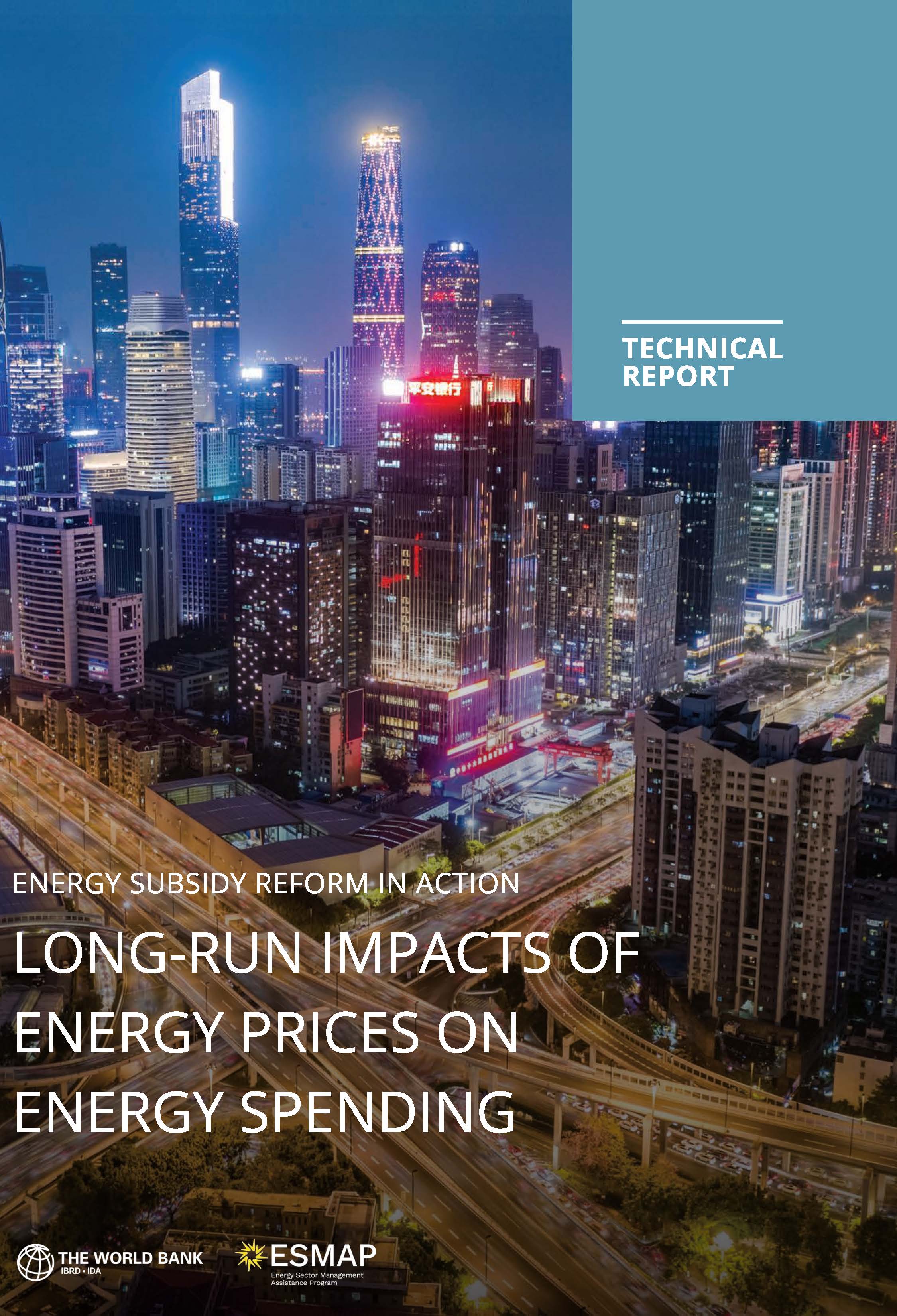 Energy Subsidy Reform in Action