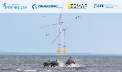 Blue Academy: Ensuring the Environmental and Social Sustainability of Offshore Wind in Emerging Markets