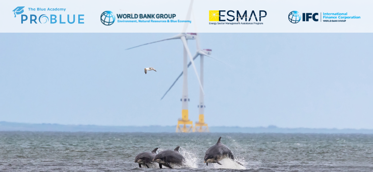Blue Academy: Ensuring the Environmental and Social Sustainability of Offshore Wind in Emerging Markets