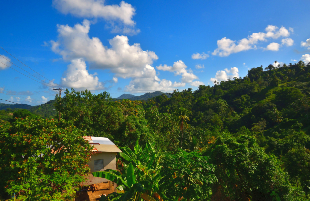 Tropical forest in the mountains 