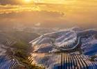 Massive parts of a mountainous region covered with solar panels