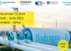 Scaling Hydrogen Financing for Development