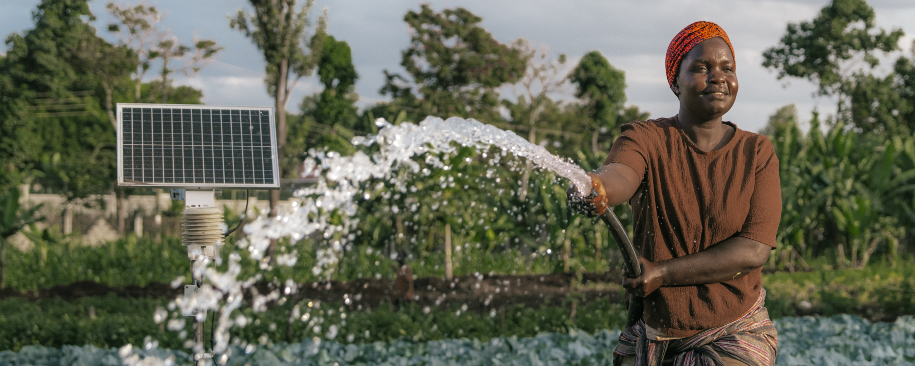 Person watering crops in a field using a hose connected to a solar-powered irrigation pump, with a solar panel array visible in the background.
