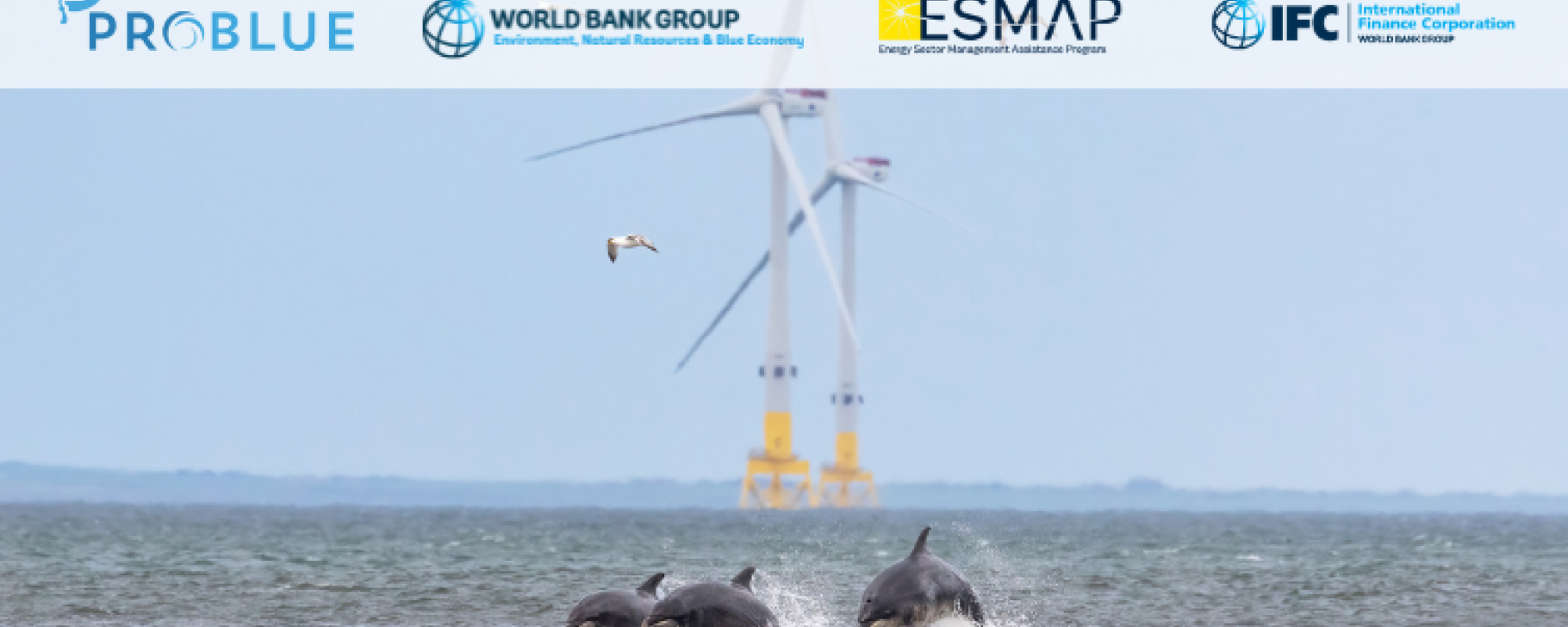 Blue Academy: Ensuring the Environmental and Social Sustainability of Offshore Wind in Emerging Markets Blue Academy: Ensuring the Environmental and Social Sustainability of Offshore Wind in Emerging Markets