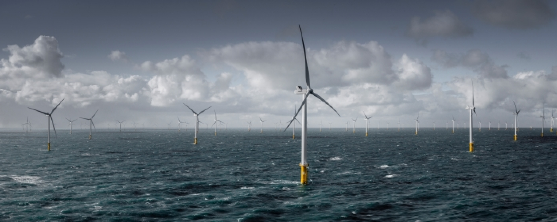Nobelwind 1-MHI Vestas