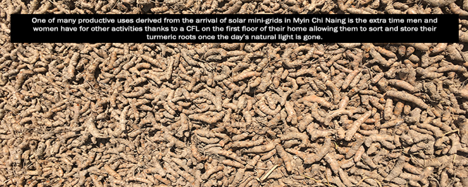 Photo of turmeric roots with a text overlay