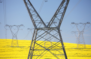 Electric transmission towers stand across a bright yellow field under a clear blue sky.