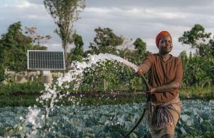 Person watering crops in a field using a hose connected to a solar-powered irrigation pump, with a solar panel array visible in the background.