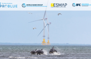 Blue Academy: Ensuring the Environmental and Social Sustainability of Offshore Wind in Emerging Markets