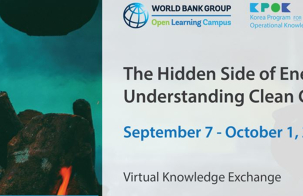 Virtual Knowledge Exchange | The Hidden Side of Energy Access: Understanding Clean Cooking 