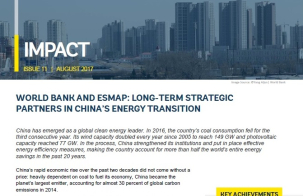 Strategic Partners in China