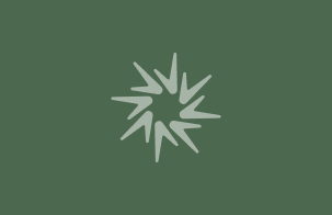 Placeholder Image Placeholder Image