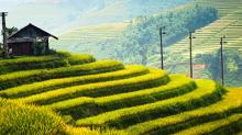 Electricity to Transform Rural Myanmar