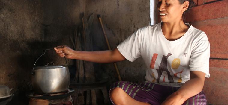 Clean Cooking Stoves - Renewable World