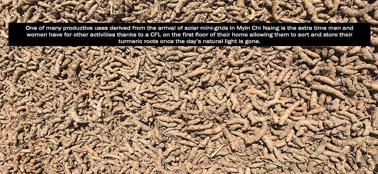 Productive uses of off-grid energy, by Marjorie K Araya Tumeric harvest in remote village of Myin Chi Naing, Myanmar.