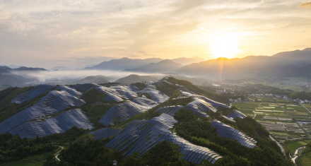 Solar Farms - Carousel Aerial view of a large solar power installation covering rolling hills at sunrise, with rows of solar panels set among green vegetation and mountains in the distance.