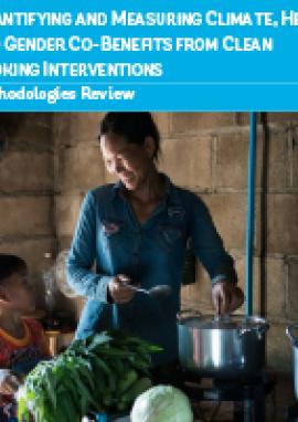 Quantifying and Measuring Climate, Health, and Gender Co-Benefits from Clean Cooking Interventions: Methodologies Review