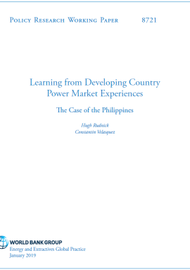 Power Market Experience in the Philippines