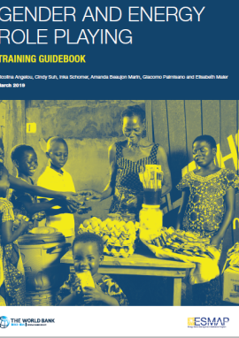 Gender and Energy Role Playing: Training Guidebook