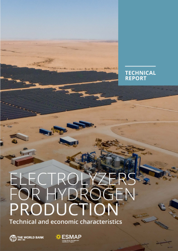 Electrolyzers for Hydrogen Production