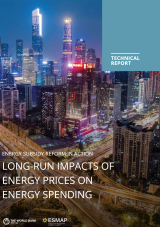 Energy Subsidy Reform in Action