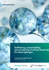 Sufficiency, Sustainability, and Circularity of Critical Materials for Clean Hydrogen