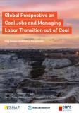  Global Perspective on Coal Jobs and Managing Labor Transition out of Coal