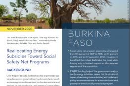 Burkina Faso Country Brief