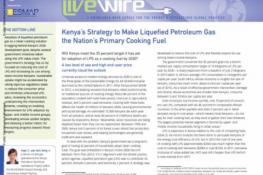 Kenya's Strategy to Make Liquefied Petroleum Gas the Nation's Primary Cooking Fuel