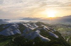 Aerial view of a large solar power installation covering rolling hills at sunrise, with rows of solar panels set among green vegetation and mountains in the distance.