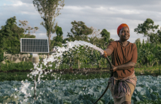Person watering crops in a field using a hose connected to a solar-powered irrigation pump, with a solar panel array visible in the background.