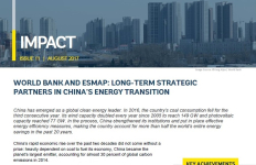 Strategic Partners in China