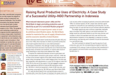 Raising Rural Productive Uses of Electricity: A Case Study of a Successful Utility-NGO Partnership in Indonesia