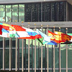UN Flags