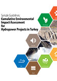 Sample Guidelines: Cumulative Environmental Impact Assessment for Hydropower Projects in Turkey