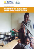 The State of the Global Clean and Improved Cooking Sector