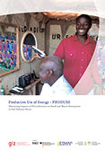 Productive Use of Energy â PRODUSE | Measuring Impacts of Electrification on Small and Micro-Enterprises in Sub-Saharan Africa