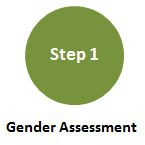 Step 1: Gender Terms of Reference