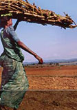 WDR 2012 | Gender Equality and Development